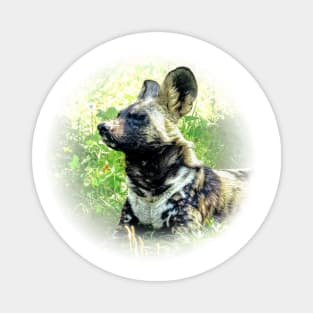 African wild dog Magnet